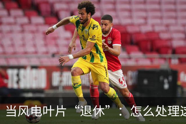当风电叶片“退休”：怎么处理这些“巨无霸”？